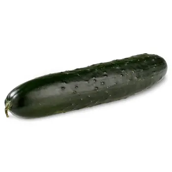 Cucumber (5)-678391-14785.webp
